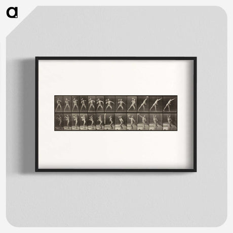 3-47_Eadweard-Muybridge_blk