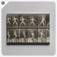 3-47_Eadweard-Muybridge_canvas