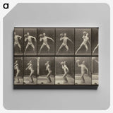 3-47_Eadweard-Muybridge_canvas