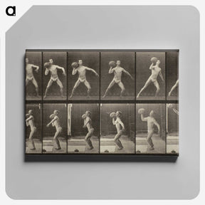 3-47_Eadweard-Muybridge_canvas