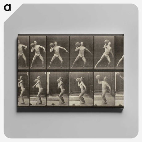 3-47_Eadweard-Muybridge_canvas