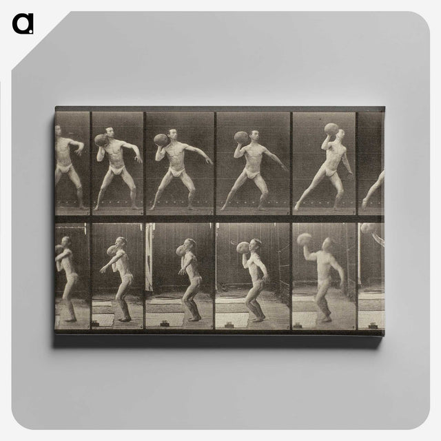 3-47_Eadweard-Muybridge_canvas