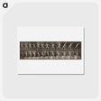 アートポストカード-Animal Locomotion, Plate 319
 - エドワード マイブリッジ Postcard.