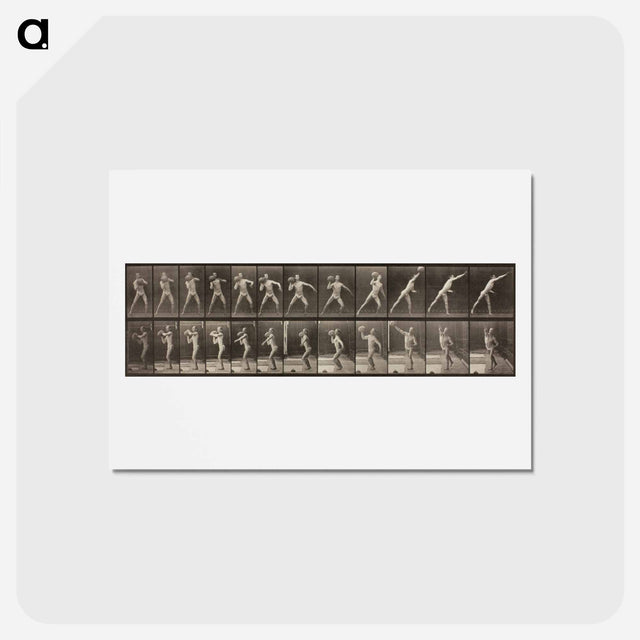 アートポストカード-Animal Locomotion, Plate 319
 - エドワード マイブリッジ Postcard.
