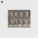 3-47_Eadweard-Muybridge_memo