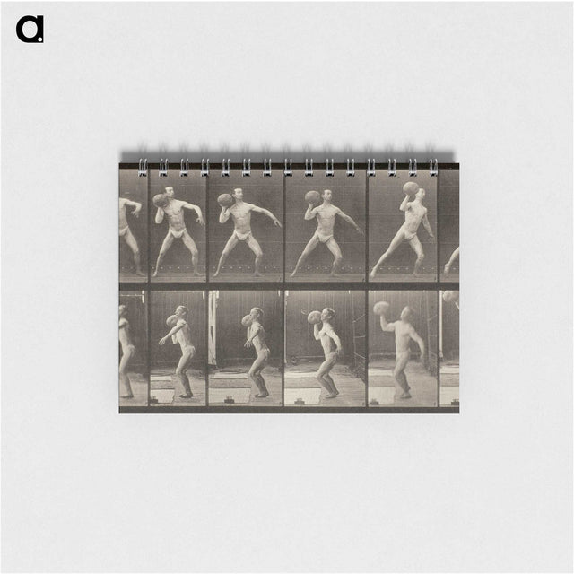 3-47_Eadweard-Muybridge_memo