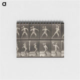 アートメモ帳-Animal Locomotion, Plate 319
 - エドワード マイブリッジ Memo.