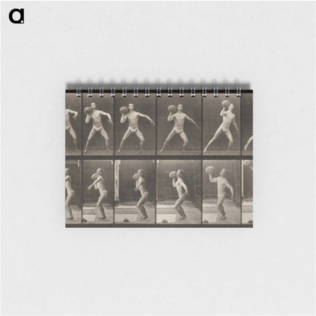 アートメモ帳-Animal Locomotion, Plate 319
 - エドワード マイブリッジ Memo.