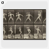 3-47_Eadweard-Muybridge_picture-crop