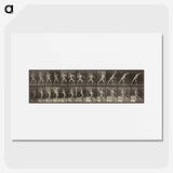 3-47_Eadweard-Muybridge_picture