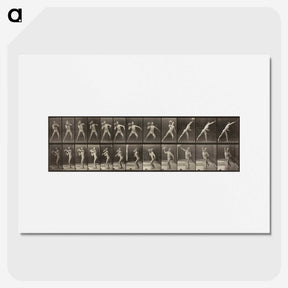 3-47_Eadweard-Muybridge_picture