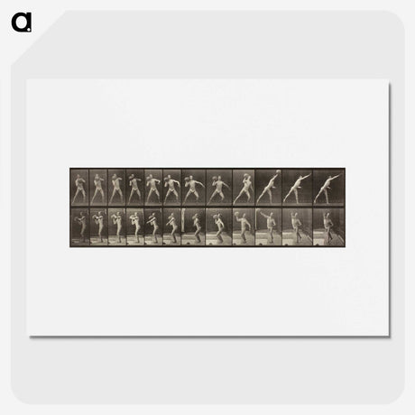3-47_Eadweard-Muybridge_picture