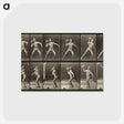 3-47_Eadweard-Muybridge_postcard