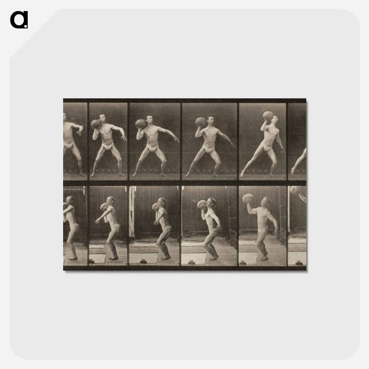 アートポストカード-Animal Locomotion, Plate 319
 - エドワード マイブリッジ Postcard.