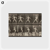 アートポストカード-Animal Locomotion, Plate 319
 - エドワード マイブリッジ Postcard.