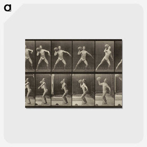 3-47_Eadweard-Muybridge_postcard