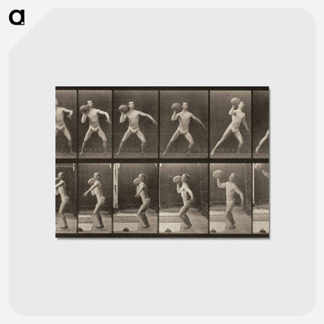 アートポストカード-Animal Locomotion, Plate 319
 - エドワード マイブリッジ Postcard.