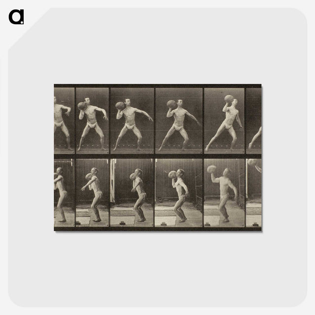 3-47_Eadweard-Muybridge_postcard