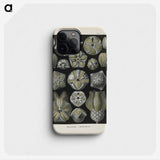 3-47_Ernst-Haeckel_phone