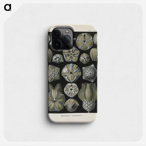 3-47_Ernst-Haeckel_phone