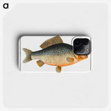 3-47_Ichtyologie-ou-Histoire-naturelle_phone