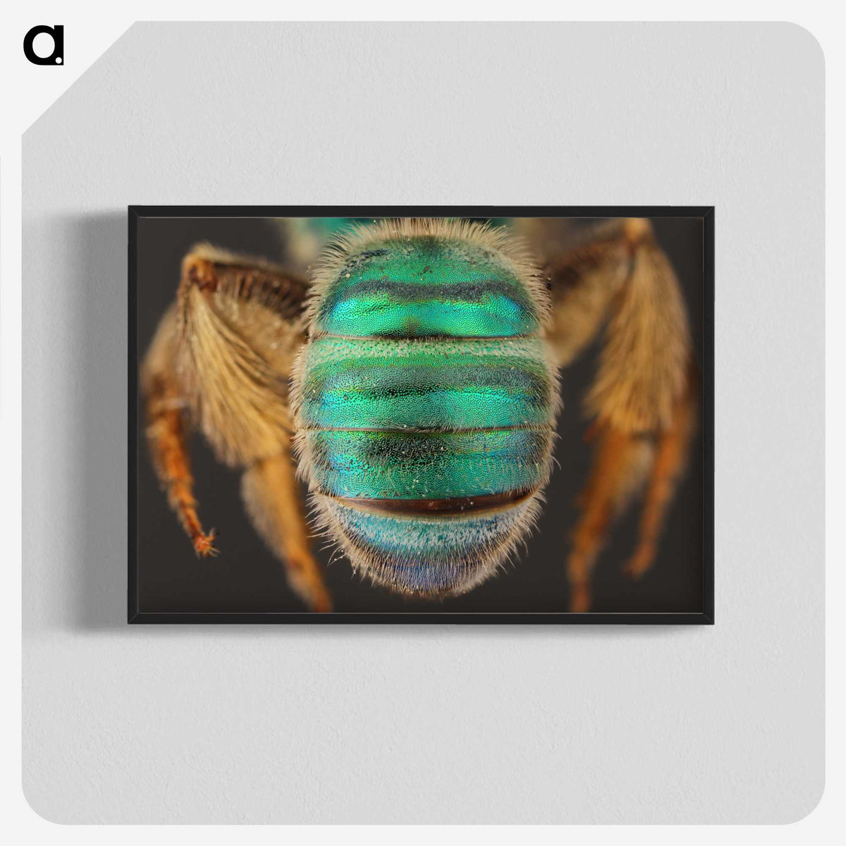 3-47_Insects-Unlocked-Project_blk-crop