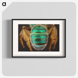3-47_Insects-Unlocked-Project_blk