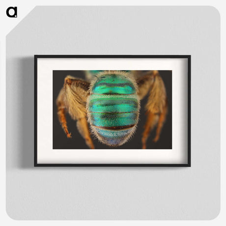 3-47_Insects-Unlocked-Project_blk