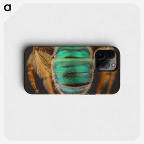 3-47_Insects-Unlocked-Project_phone