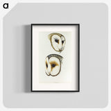 3-47_John-Gould_blk