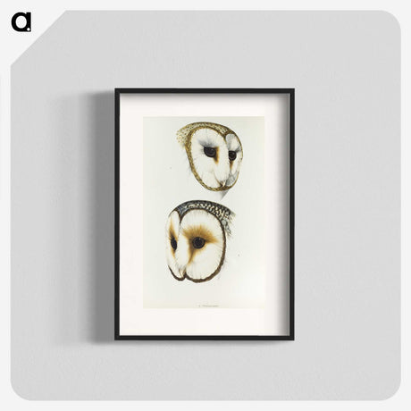 3-47_John-Gould_blk