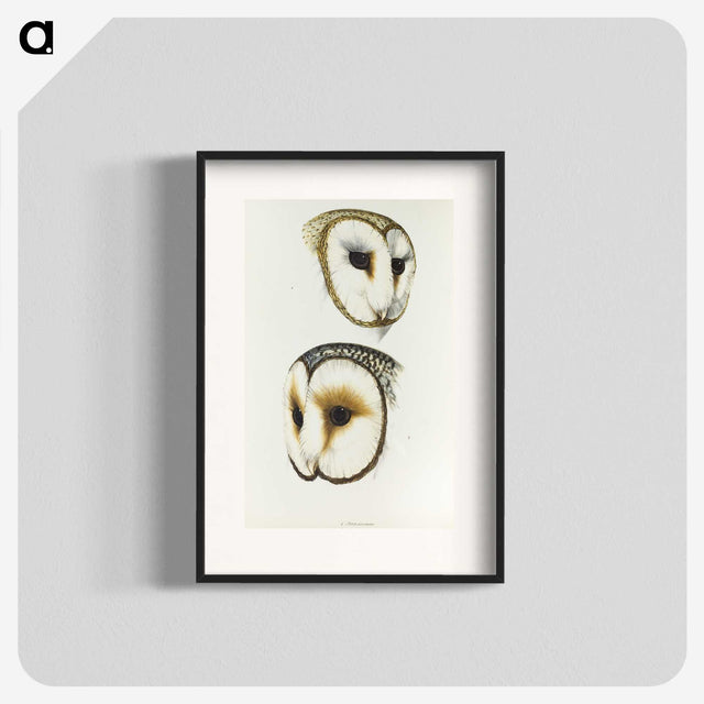 3-47_John-Gould_blk