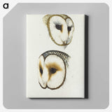 3-47_John-Gould_canvas