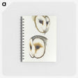 3-47_John-Gould_memo