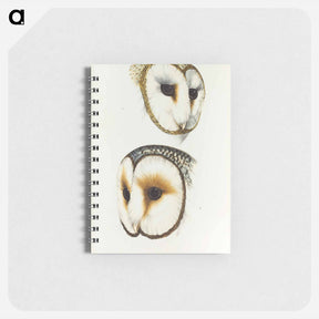 アートメモ帳-Delicate Owl & Ring-eyed Owl
 - ジョン グールド Memo.