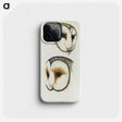 3-47_John-Gould_phone