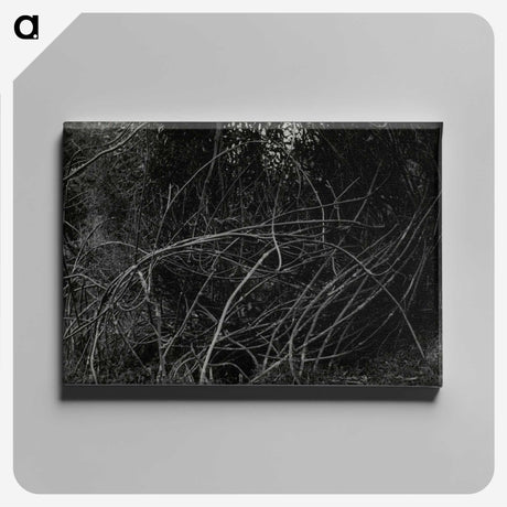 3-47_Leslie-Adkin_canvas