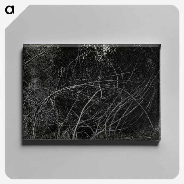3-47_Leslie-Adkin_canvas
