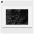 3-47_Leslie-Adkin_picture