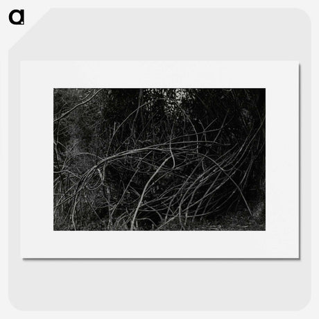 3-47_Leslie-Adkin_picture