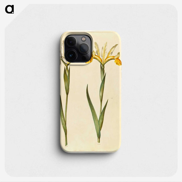 3-47_Maria-Sibylla-Merian_phone