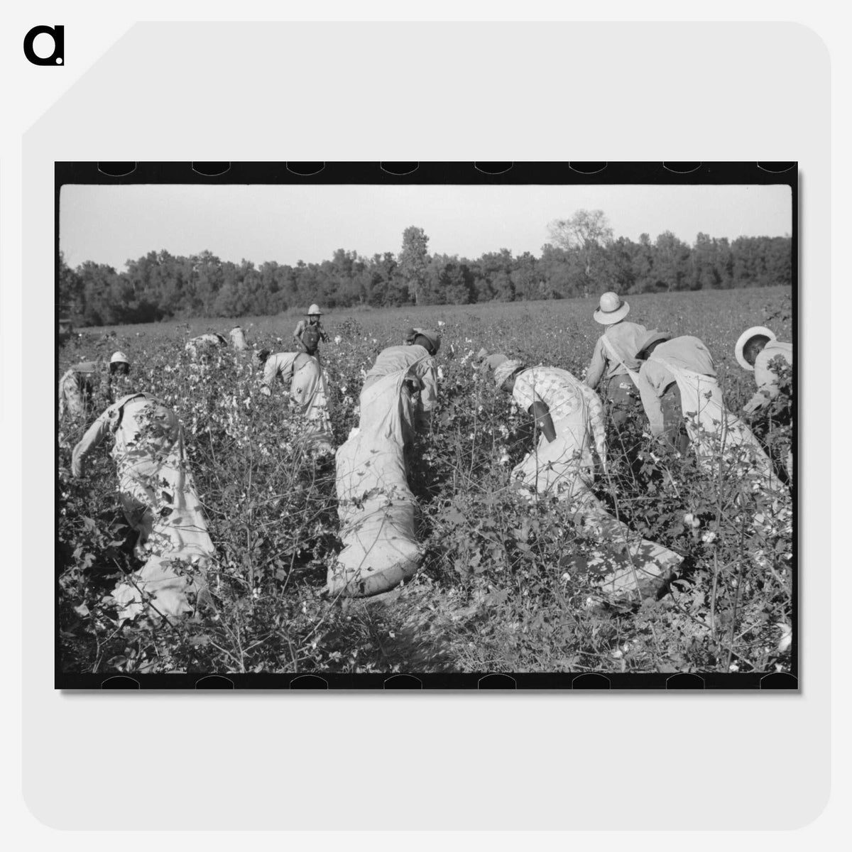 3-47_Marion-Post-Wolcott_picture-crop