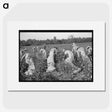 3-47_Marion-Post-Wolcott_picture