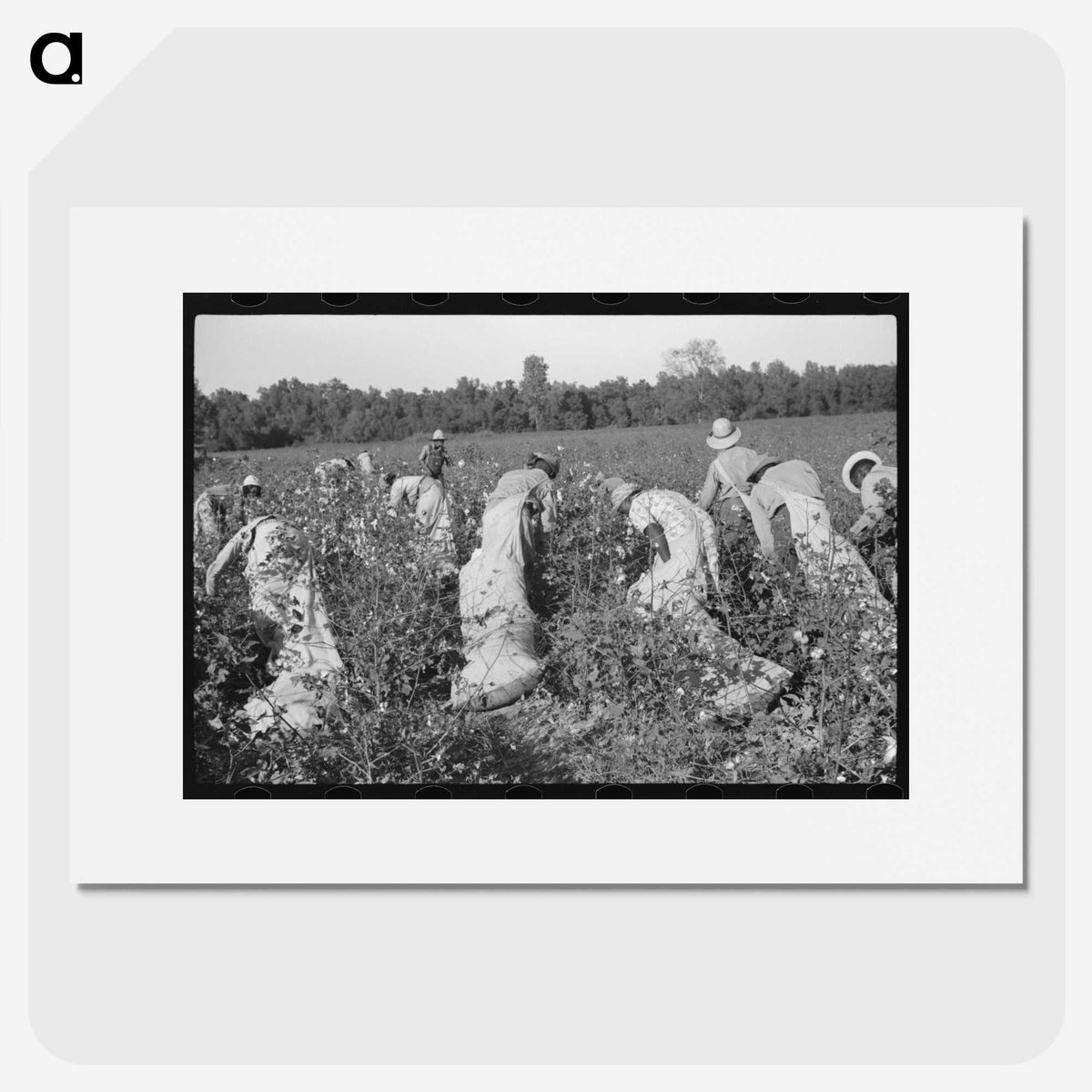 3-47_Marion-Post-Wolcott_picture