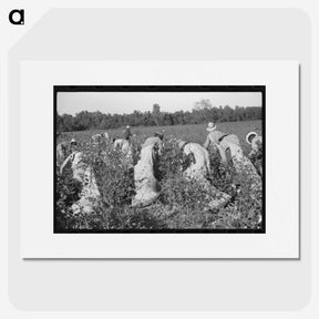 3-47_Marion-Post-Wolcott_picture