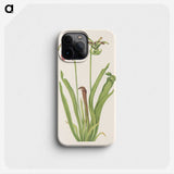 3-47_Mary-Vaux-Walcott_phone