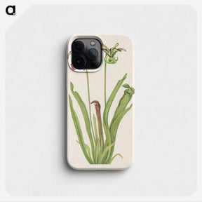 3-47_Mary-Vaux-Walcott_phone
