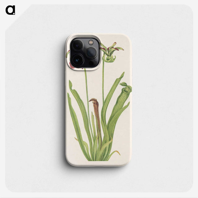 3-47_Mary-Vaux-Walcott_phone