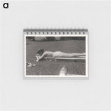 アートメモ帳-Woman Tanning
 - セントルイス美術館 Memo.