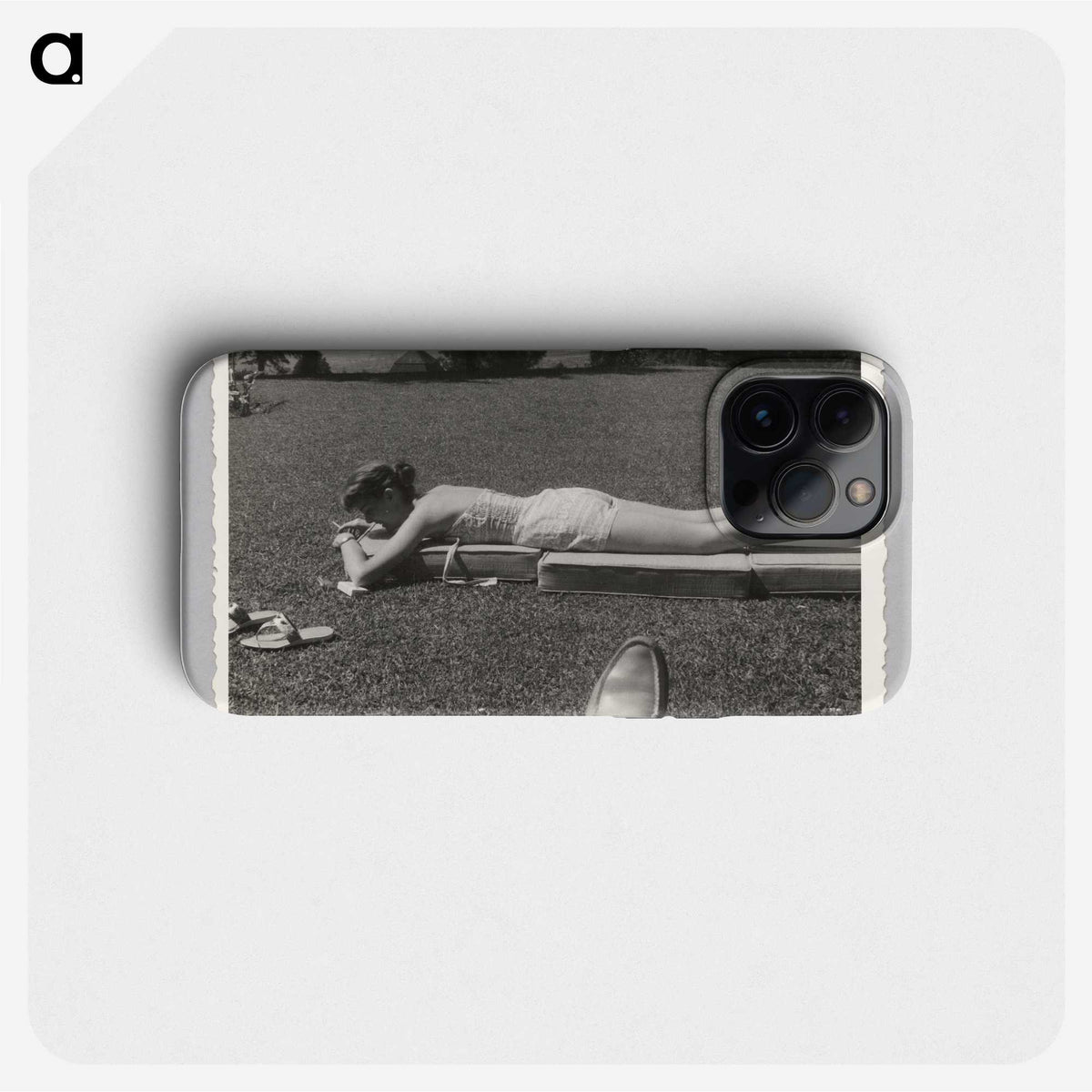 3-47_Saint-Louis-Art-Museum_phone